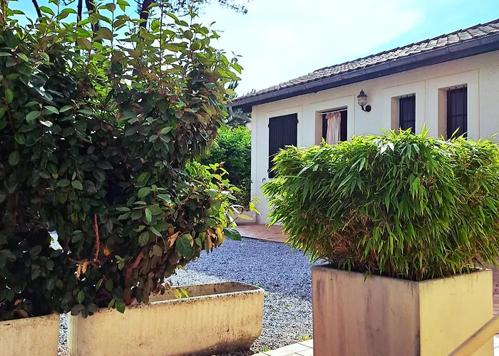 Appartement Cocooning Et Plages